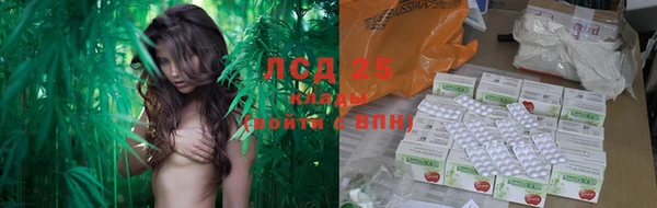 PSILOCYBIN Беломорск