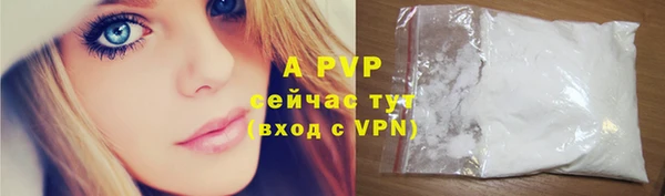 PSILOCYBIN Беломорск