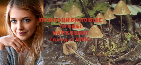 марки lsd Белокуриха