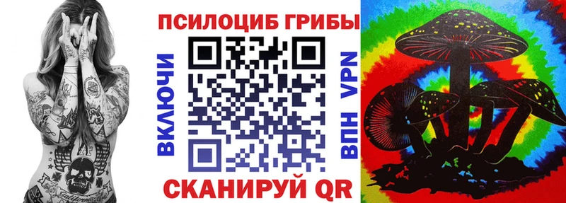 Купить где  Томари  Псилоцибиновые грибы Cubensis 
